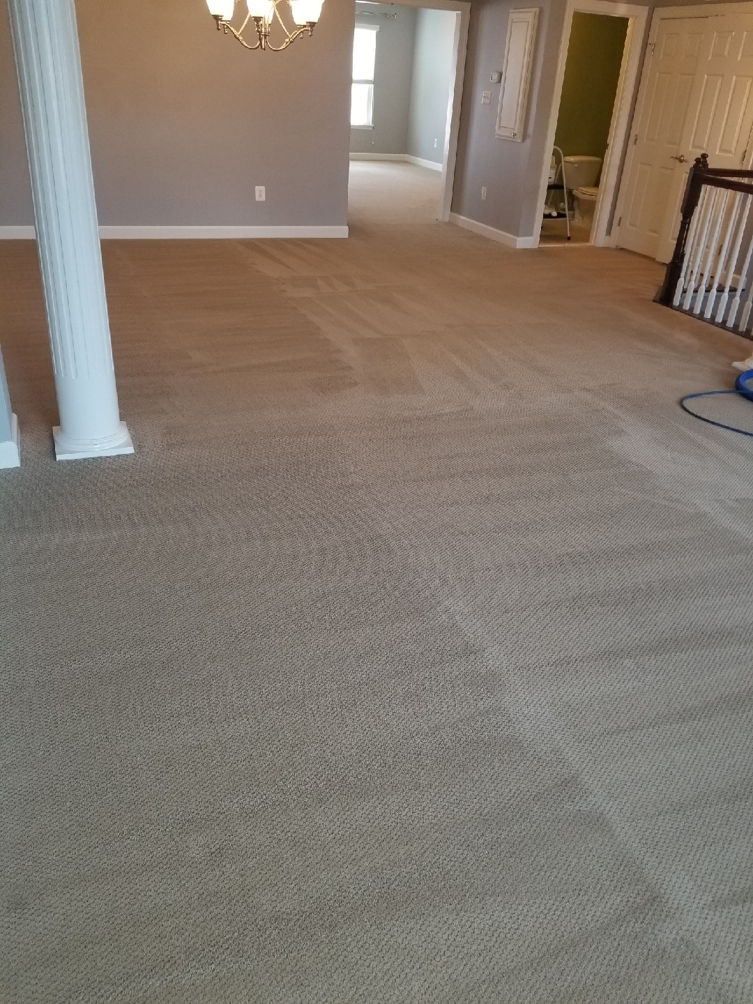 Bleach Spot Repair & Cleaning