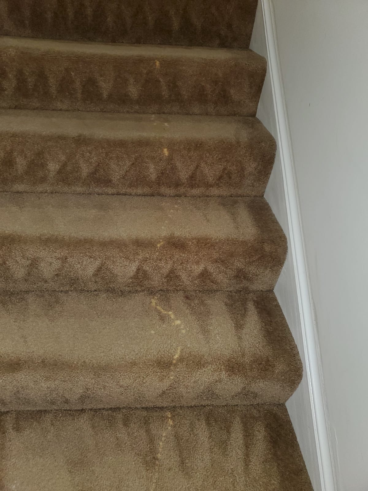 Bleach Spot Repair of Rental Property in Manassas, VA