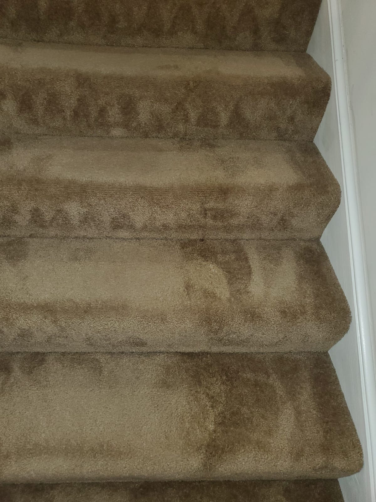 Bleach Spot Repair of Rental Property in Manassas, VA