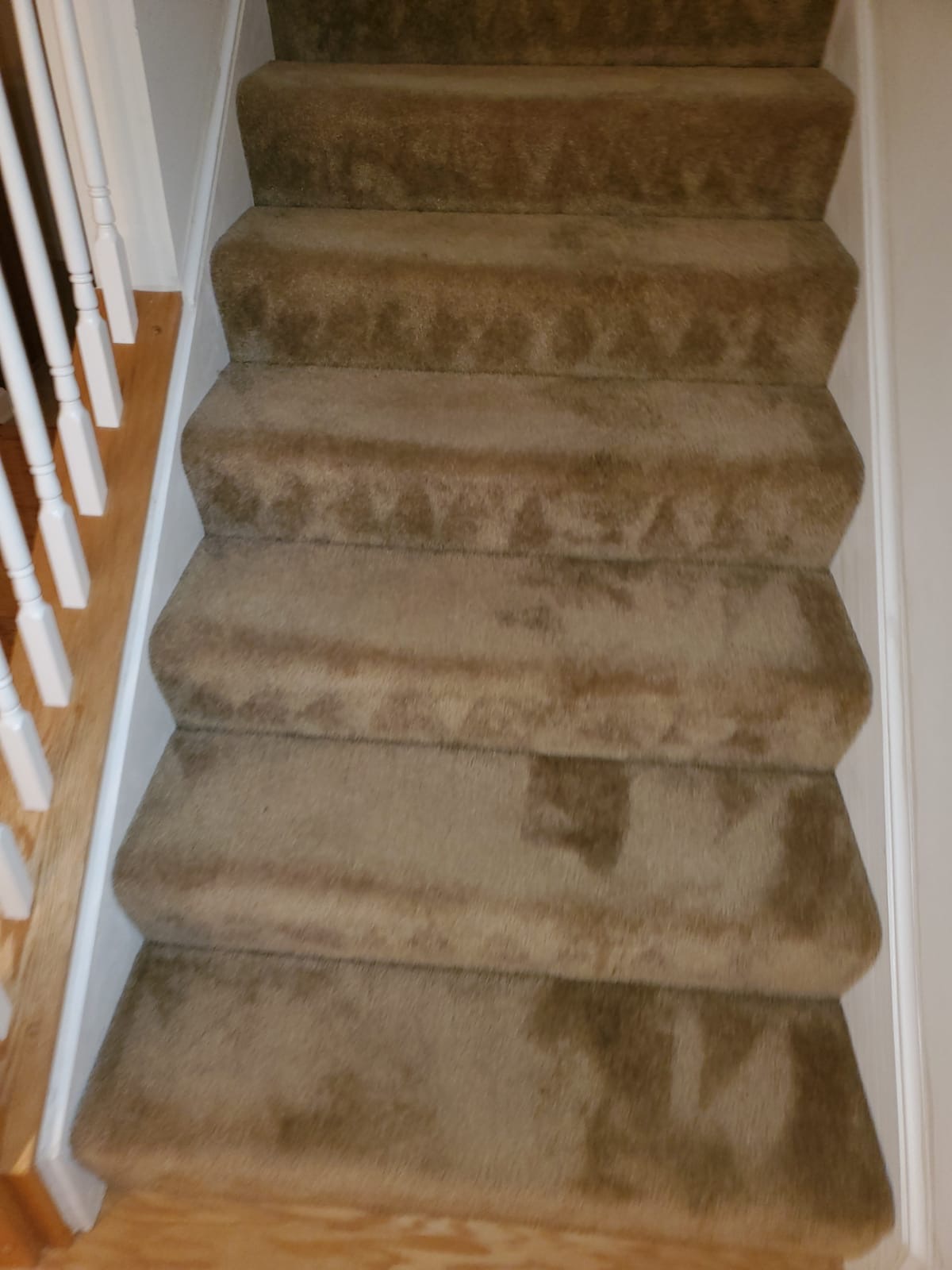 Bleach Spot Repair of Rental Property in Manassas, VA