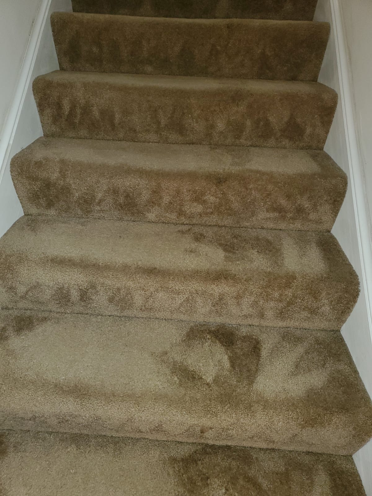 Bleach Spot Repair of Rental Property in Manassas, VA