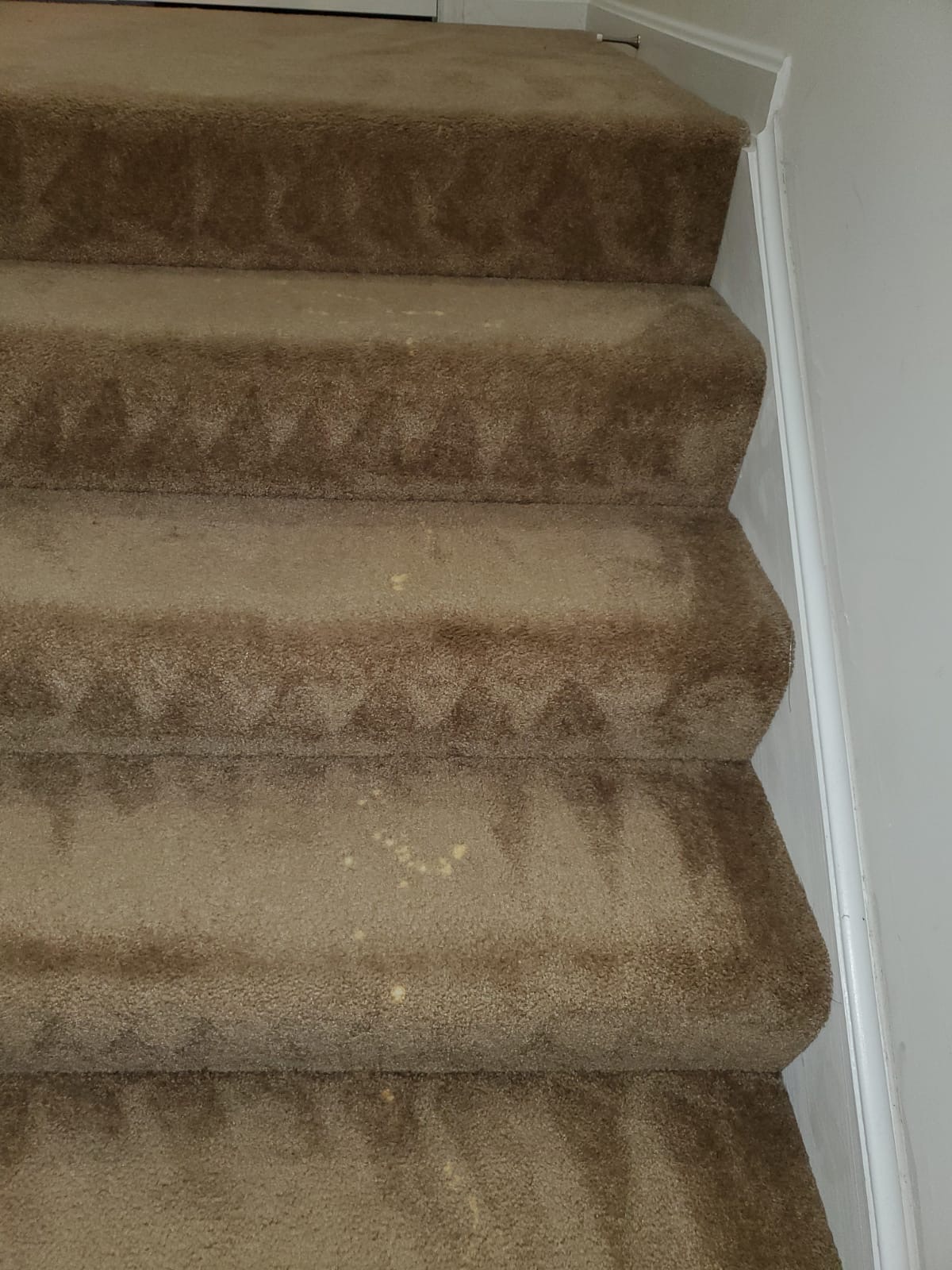 Bleach Spot Repair of Rental Property in Manassas, VA