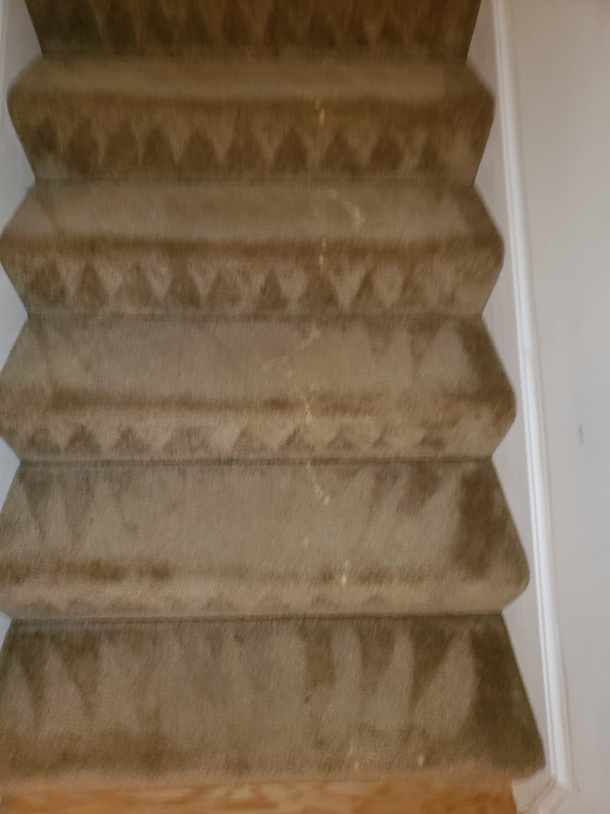 Bleach Spot Repair of Rental Property in Manassas, VA