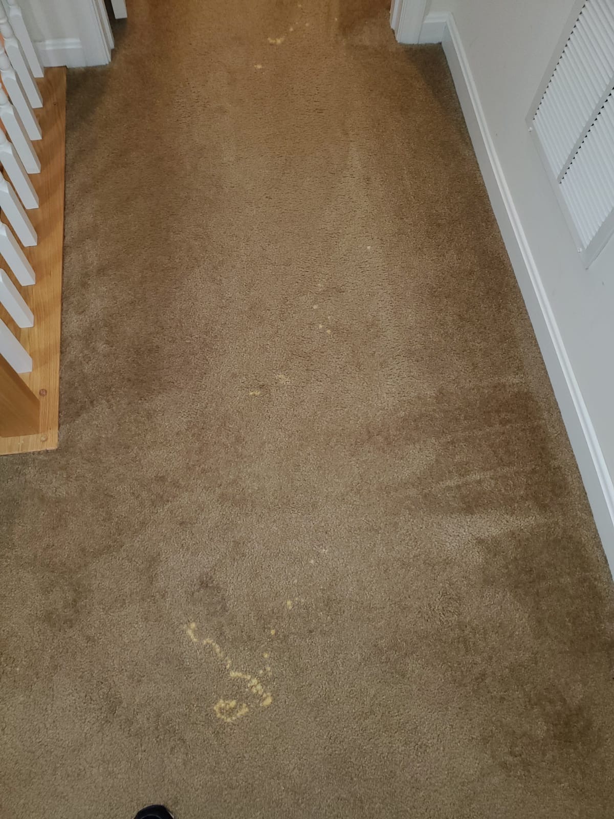 Bleach Spot Repair of Rental Property in Manassas, VA