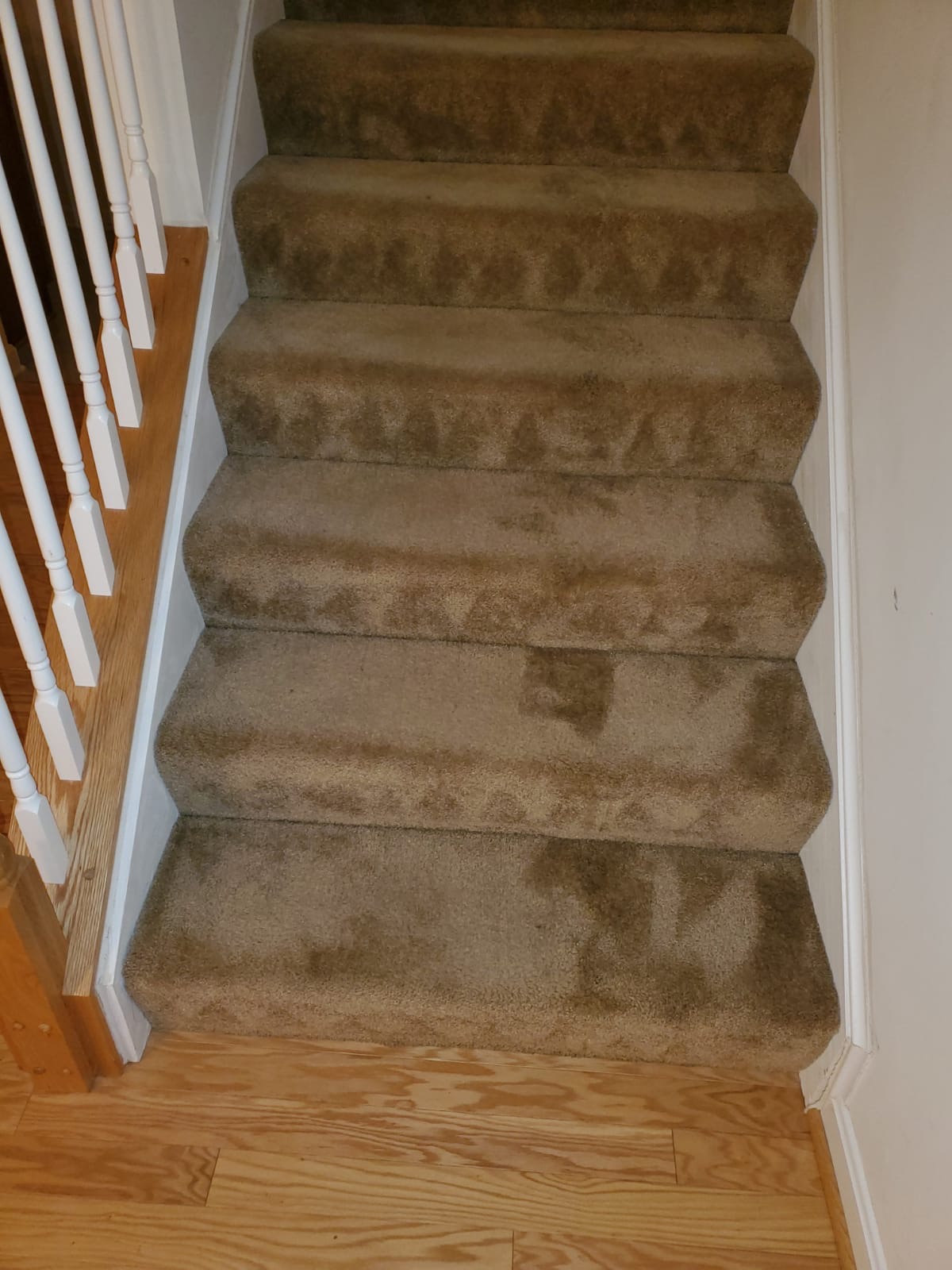 Bleach Spot Repair of Rental Property in Manassas, VA
