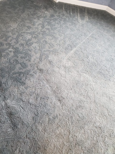 Carpet Dyeing