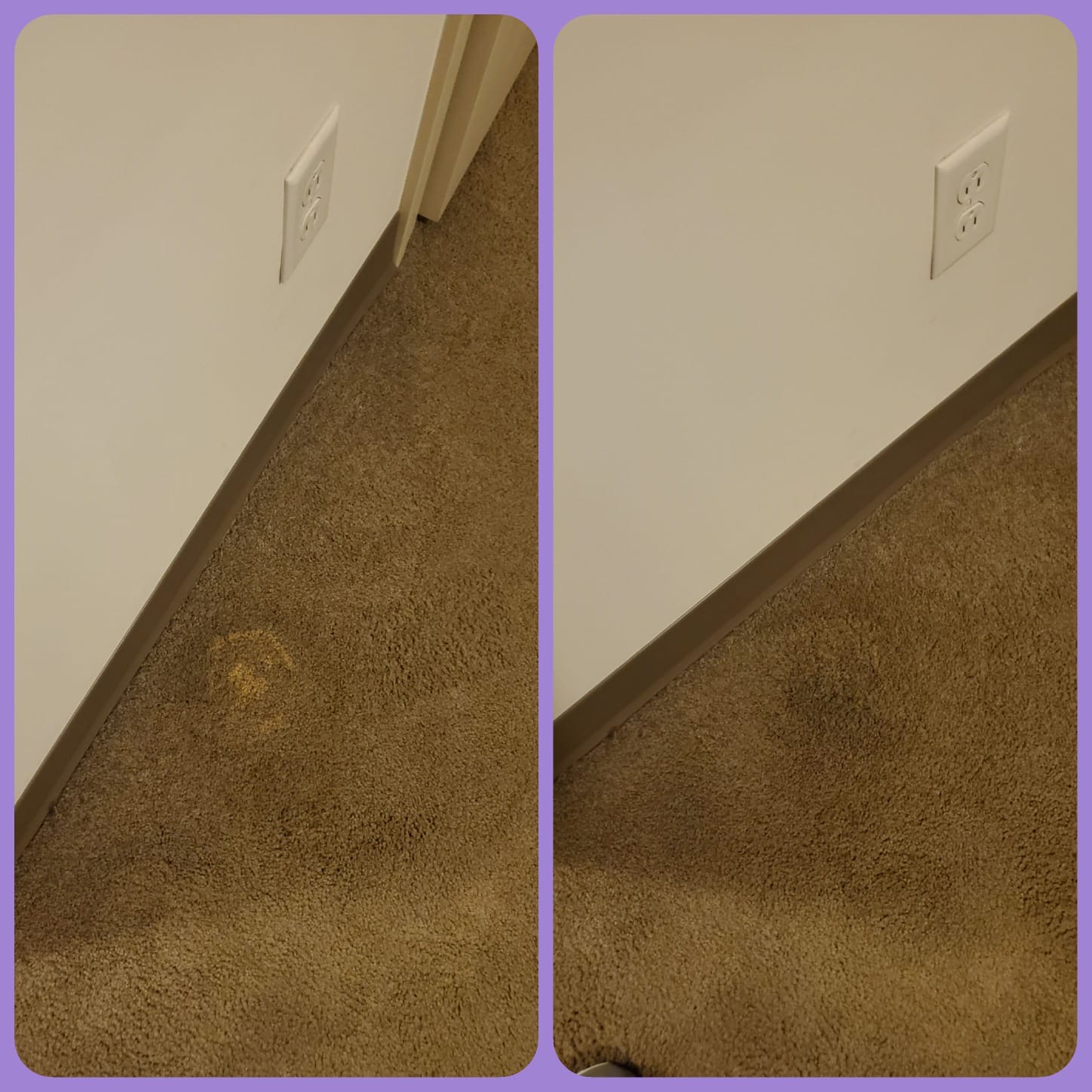 Bleach Spot Repair in Cleveland, OH College Suites