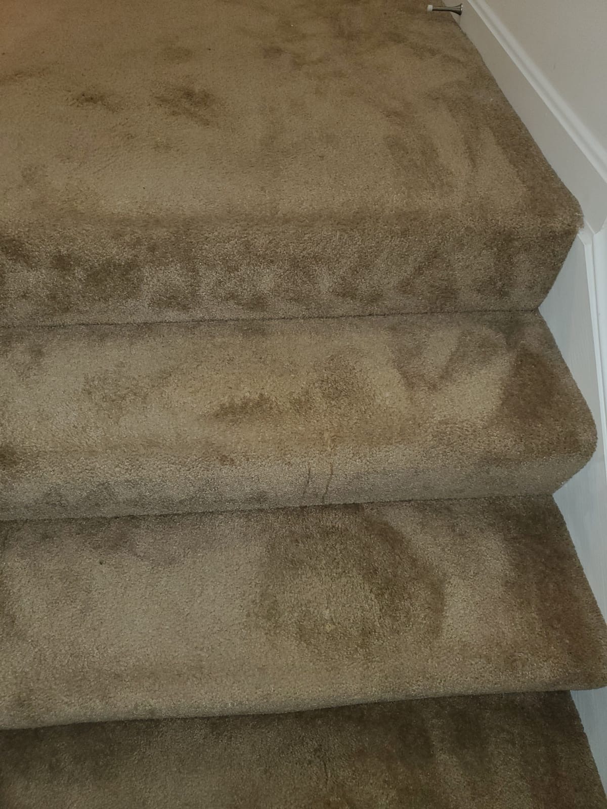 Bleach Spot Repair of Rental Property in Manassas, VA