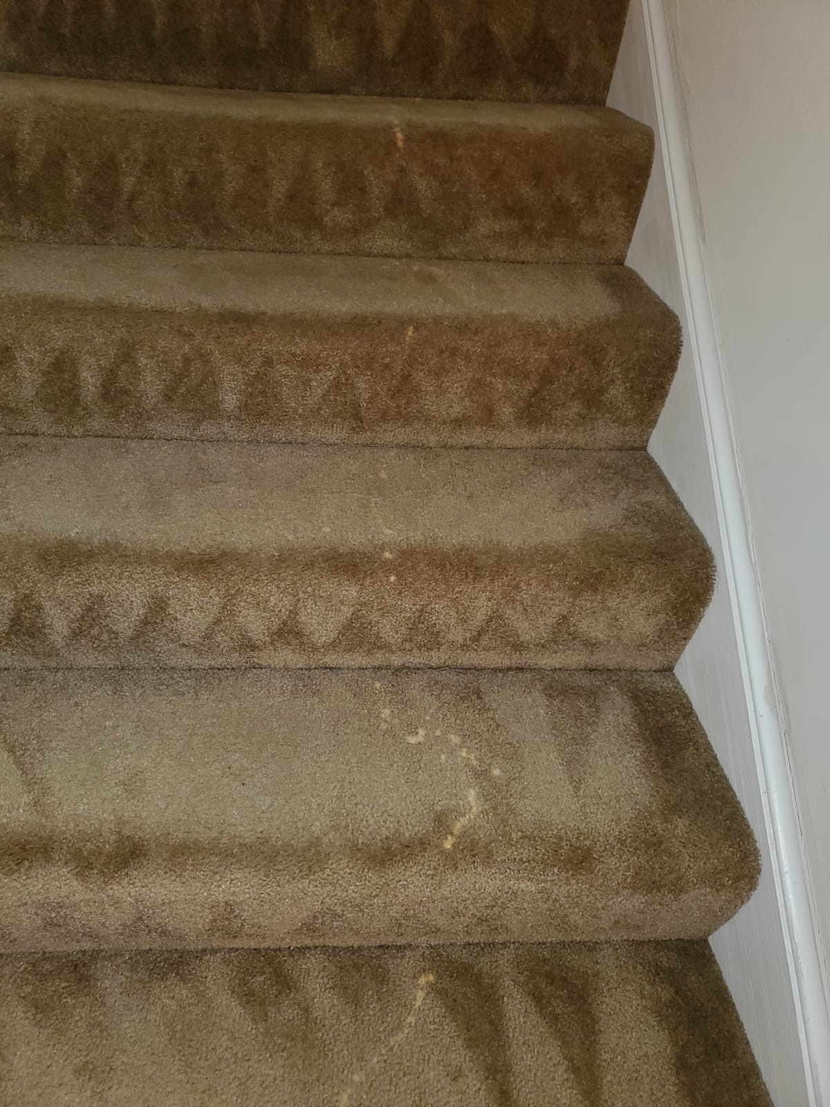 Bleach Spot Repair of Rental Property in Manassas, VA