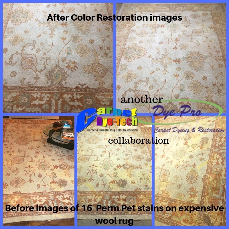 Area Rug Restoration