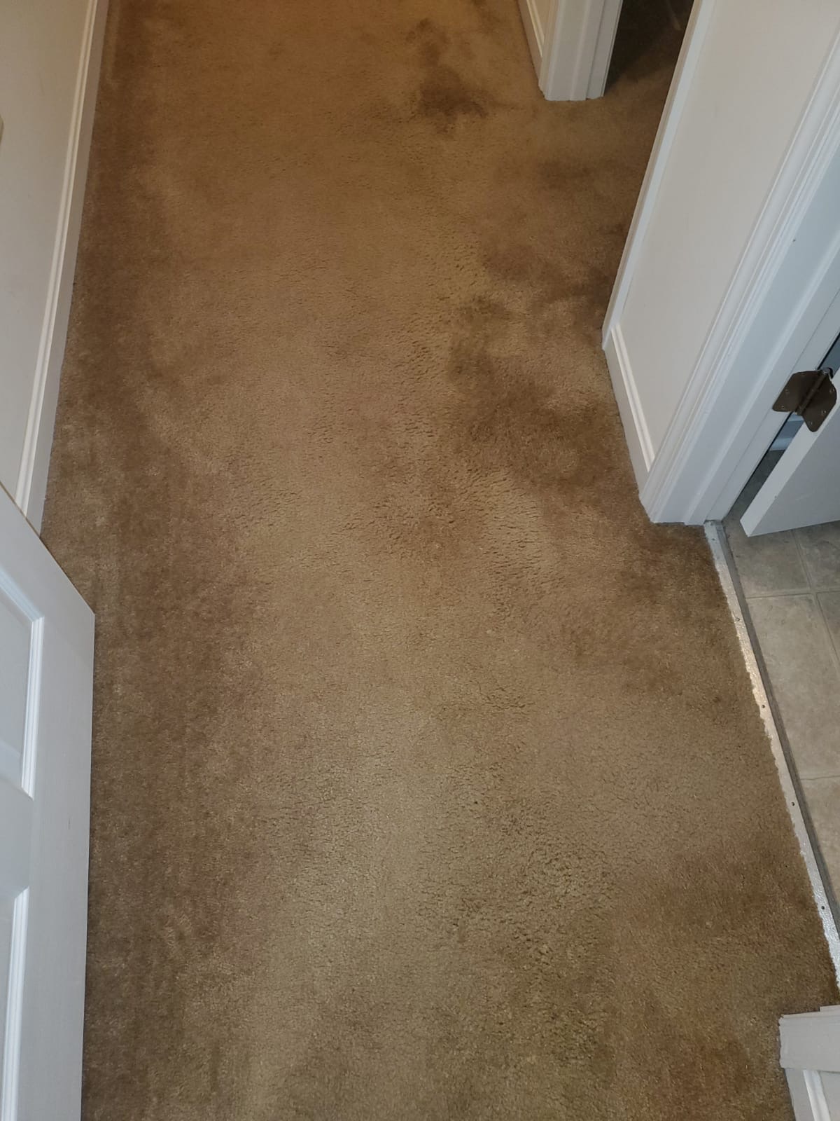 Bleach Spot Repair of Rental Property in Manassas, VA