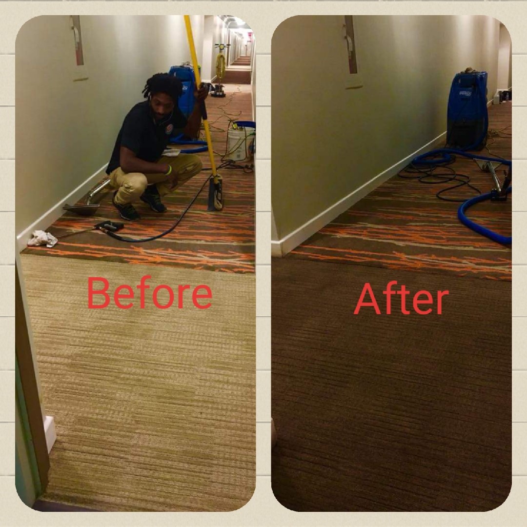 Colorful Carpets Designer Carpet Dyeing in a VA Hotel