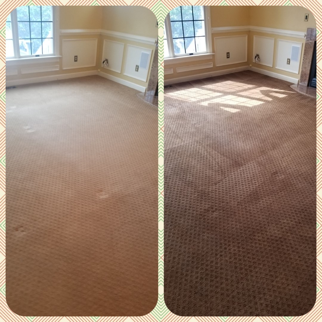 Whole Room Carpet Dyeing in Frederick, MD