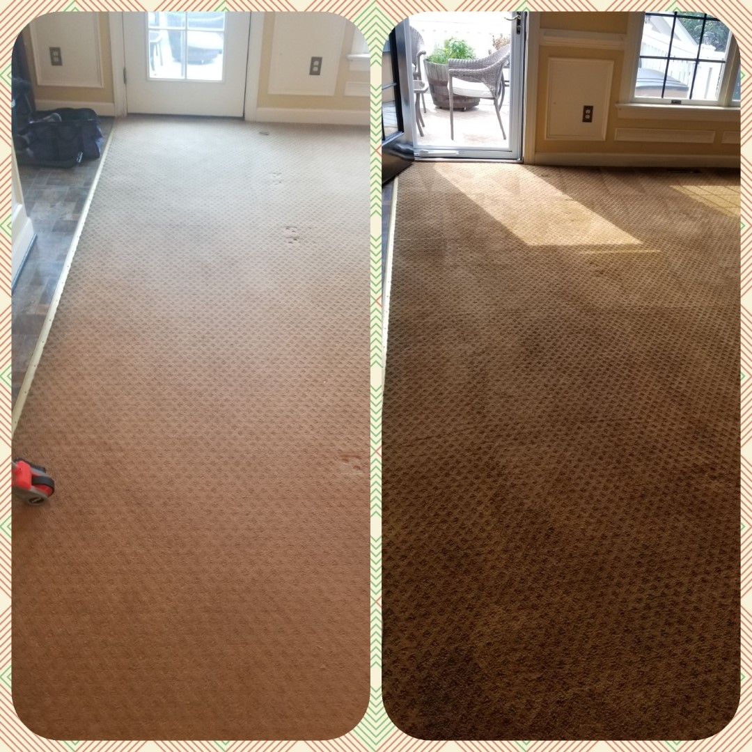Whole Room Carpet Dyeing in Frederick, MD