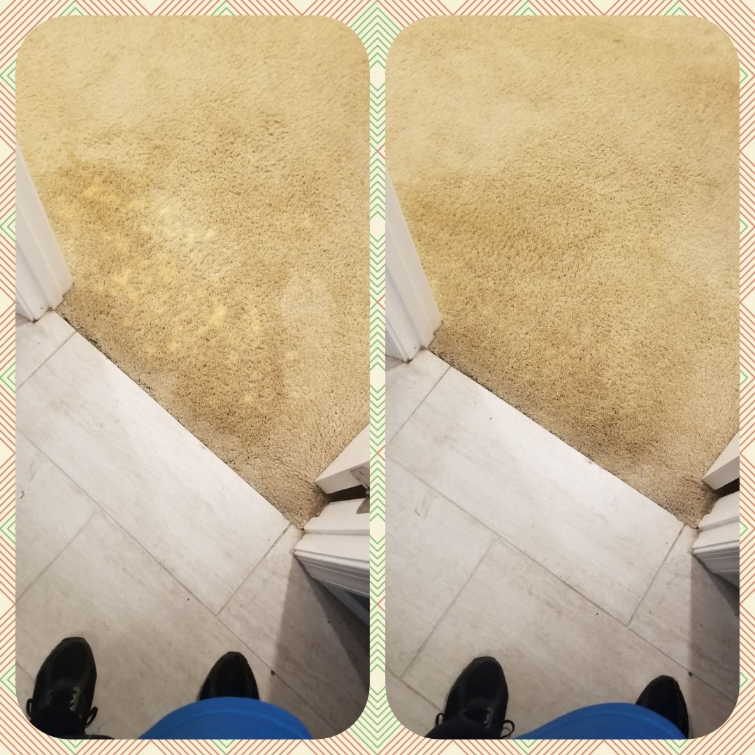 Bleach Spot Repair in Germantown, MD