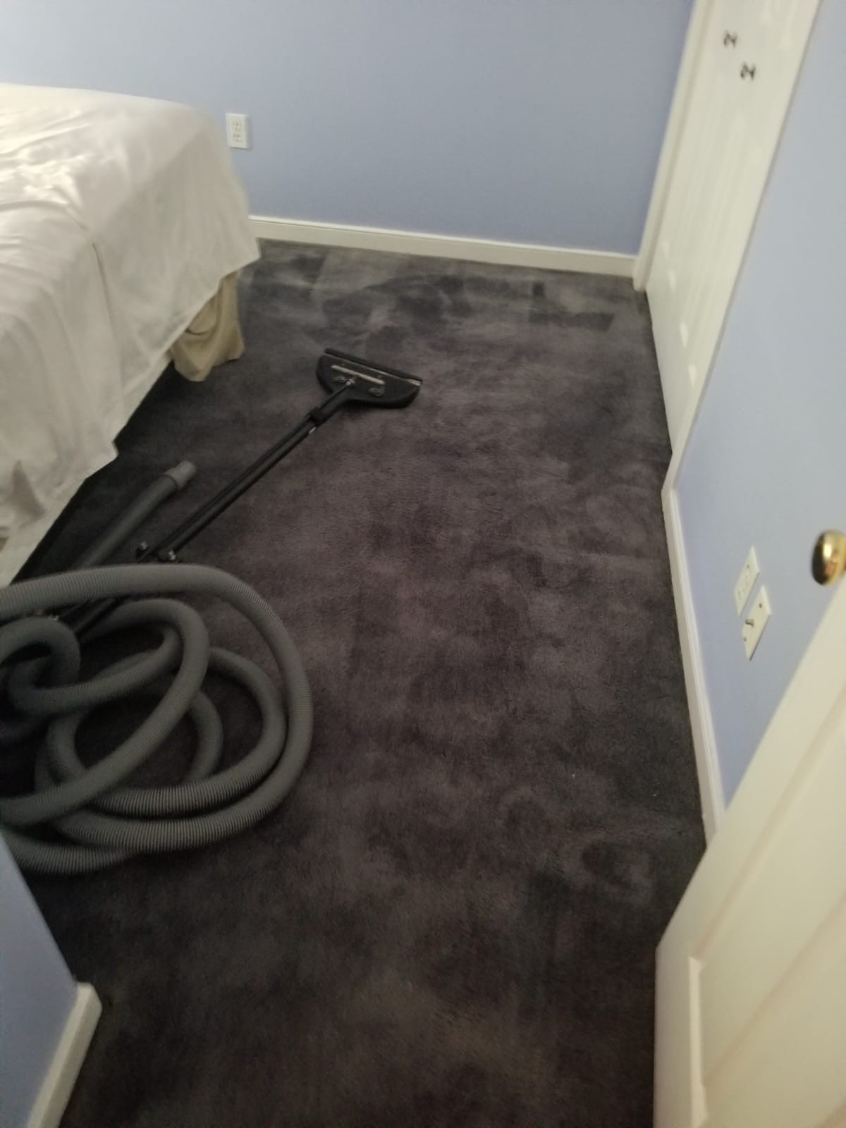 Carpet Color Change in Midlothian, VA