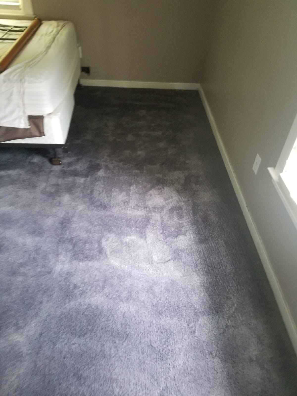Gallery Dye Pro Carpet Dyeing & Restoration Stafford, VA Certified