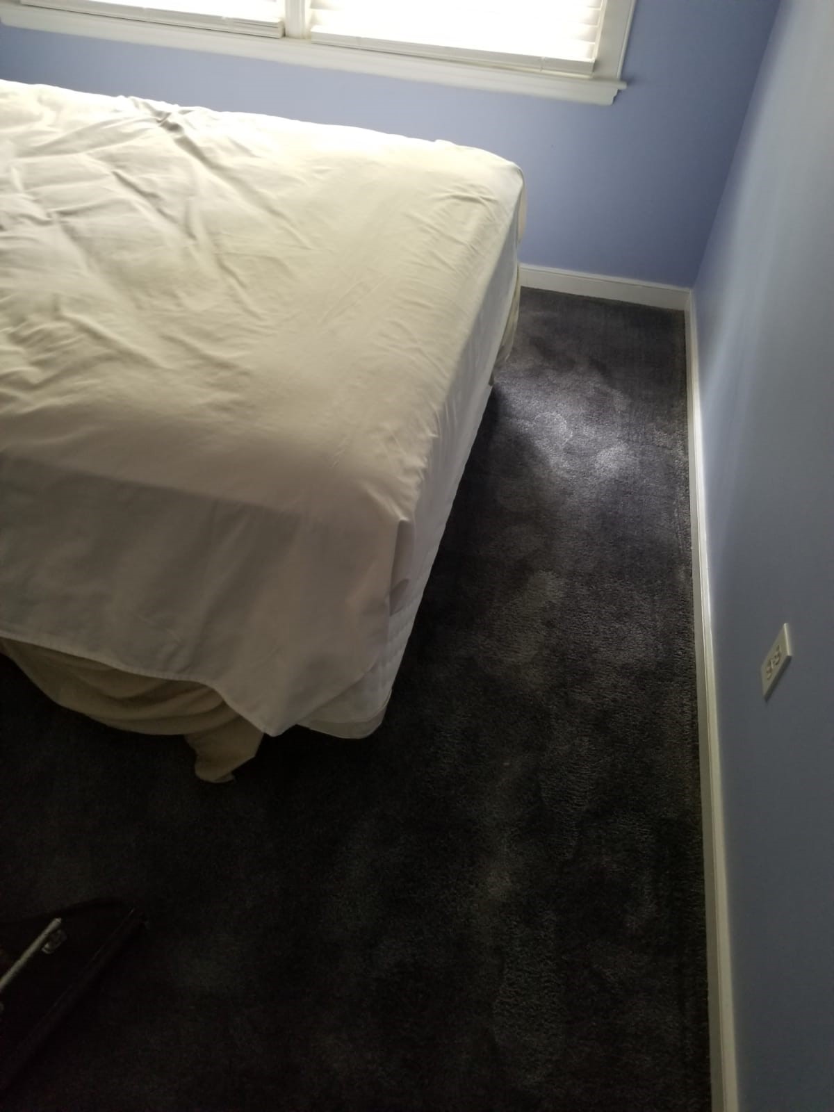 Carpet Color Change in Midlothian, VA