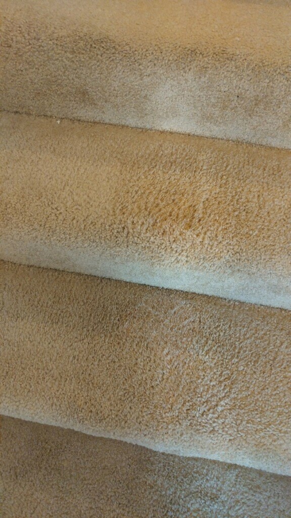 Bleach Spot Removal in Fredericksburg, VA