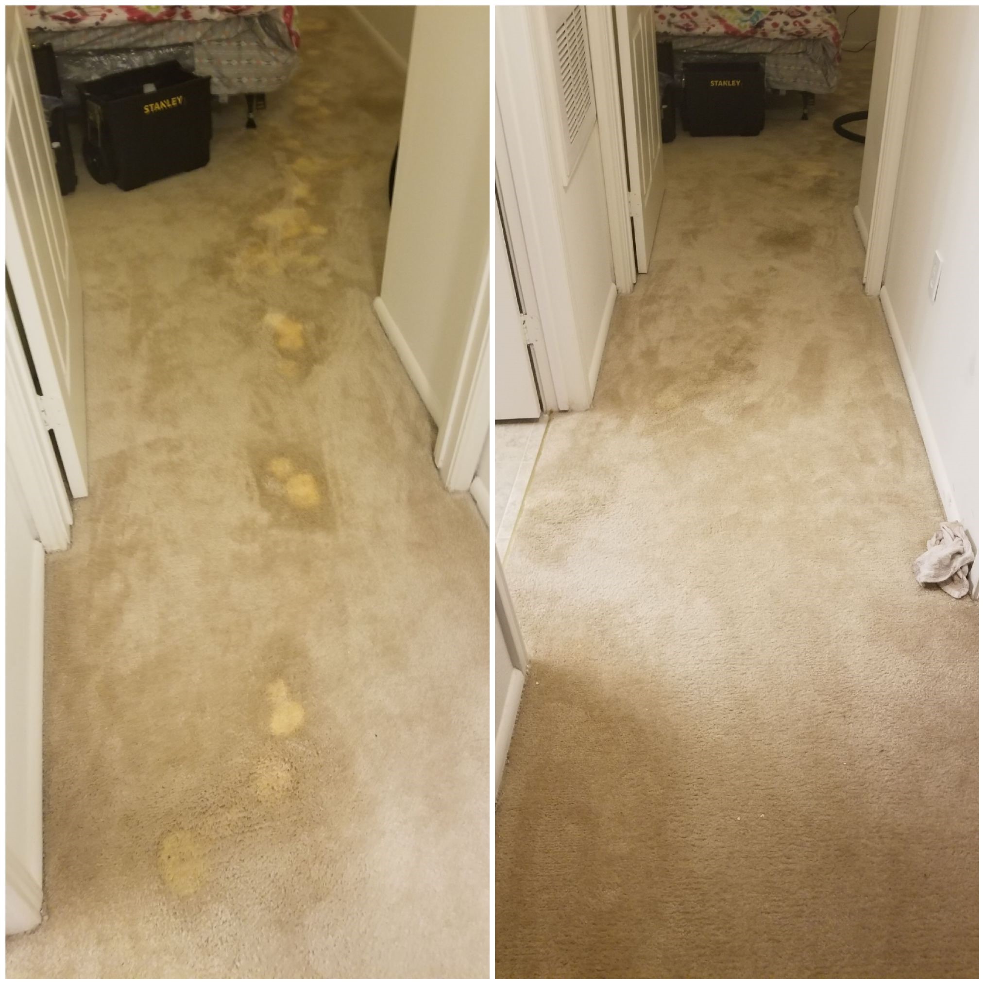 Bleach Spot Removal in Prince Frederick, MD