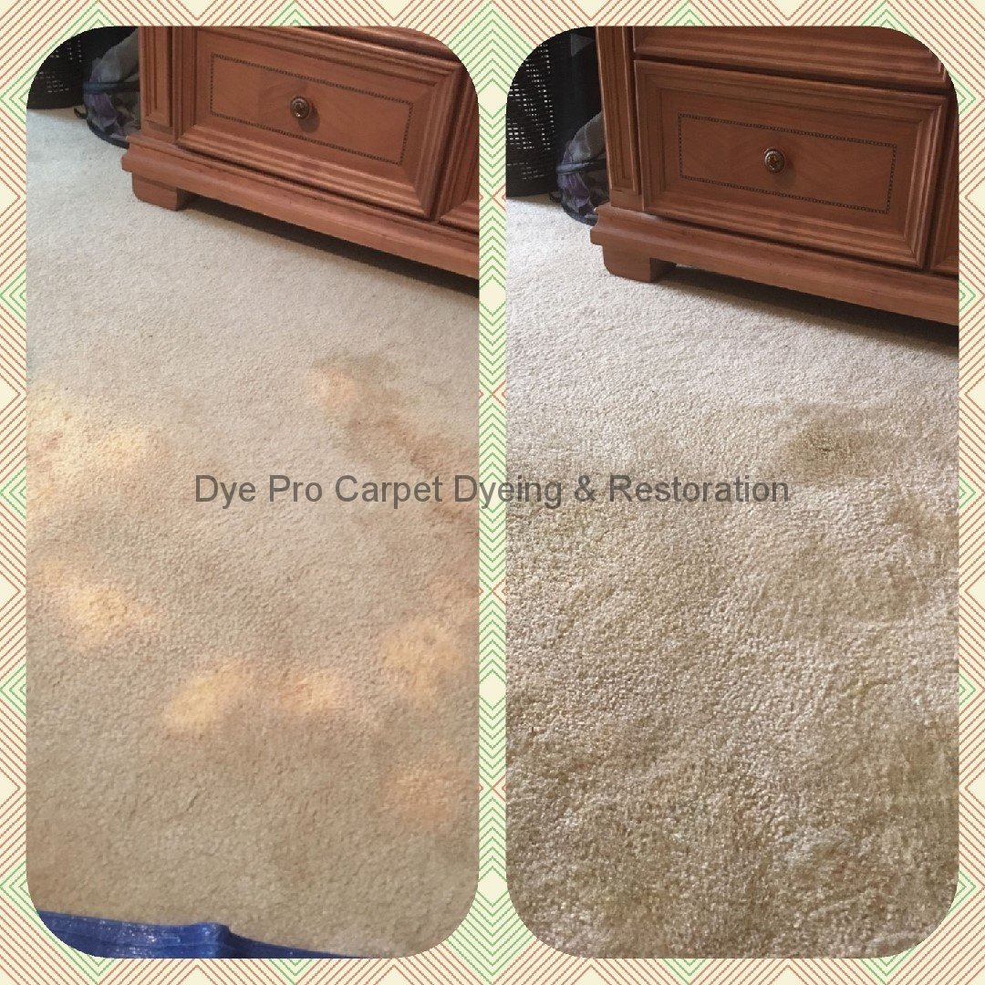 Bleach Spot Removal in Arlington, VA
