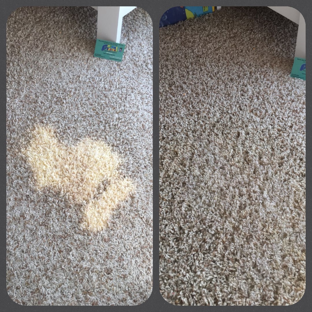 Gallery Dye Pro Carpet Dyeing & Restoration Stafford, VA Certified Dye Specialists, Bleach