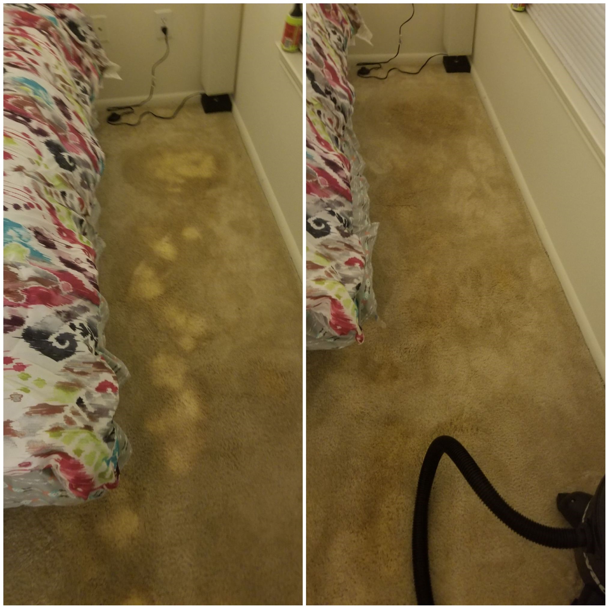 Bleach Spot Removal in Prince Frederick, MD
