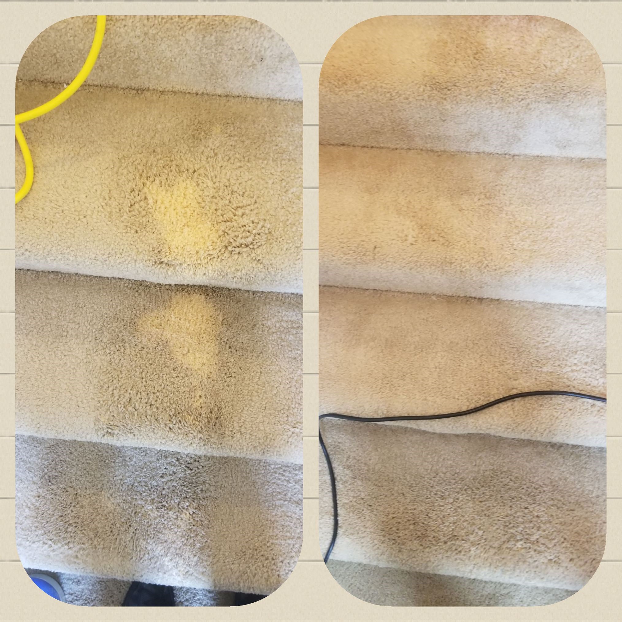 Bleach Spot Removal in Fredericksburg, VA