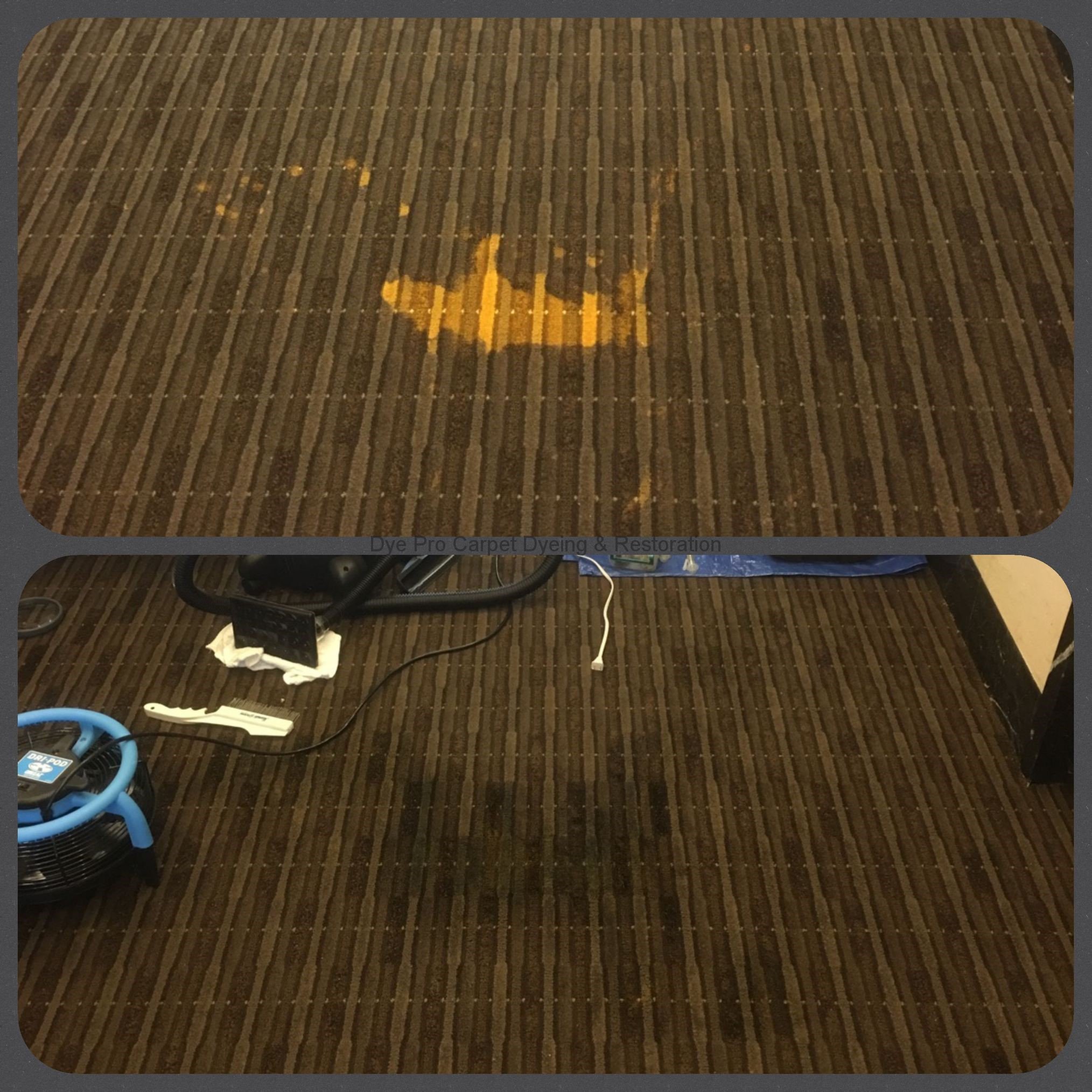 Bleach Spot Repair in Washington D.C. Office