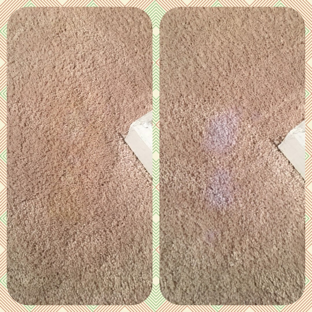 Stain Repair on Poly Carpet in Baltimore, MD
