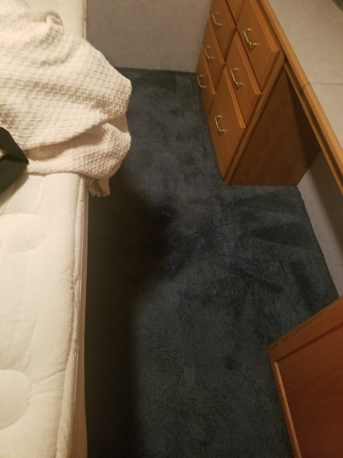 RV Carpet Dyeing in Tappahannock, VA