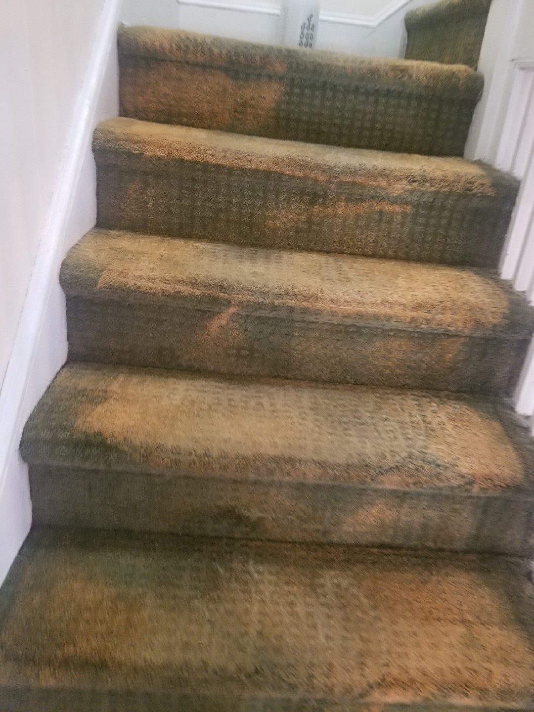 Before - Bleach Spot Repair in Washington D.C.