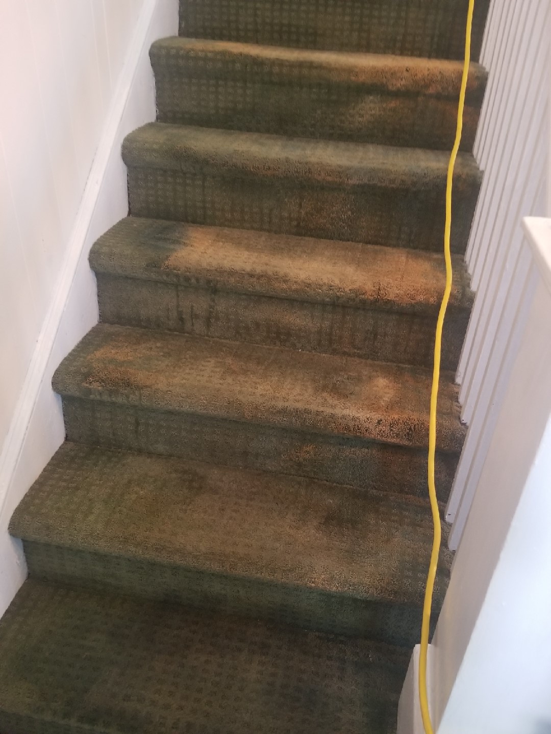 Before - Bleach Spot Repair in Washington D.C.