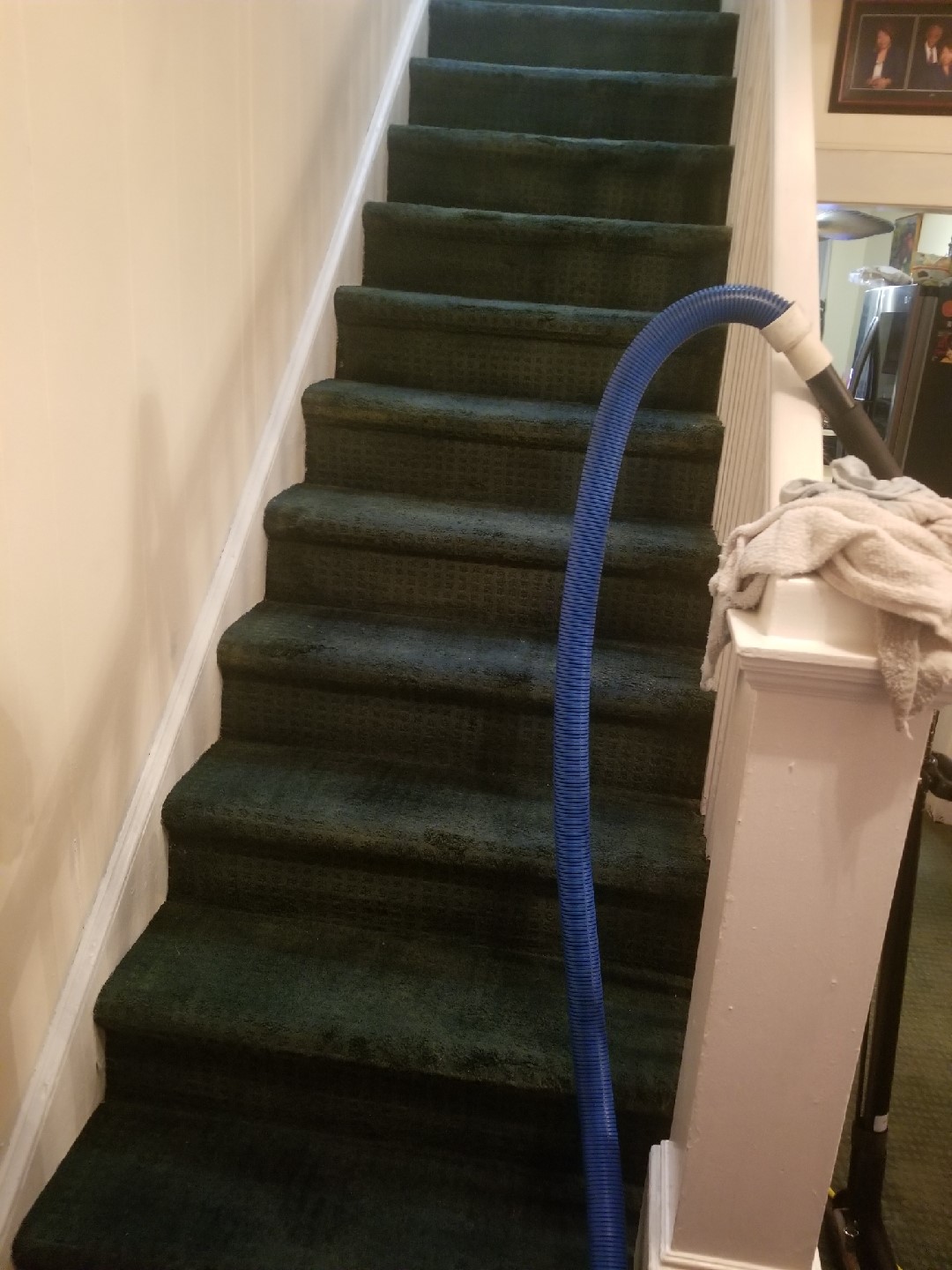 After - Bleach Spot Repair in Washington D.C.