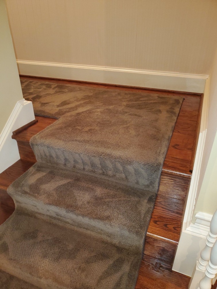 Carpet Stair Runner Color Change in Washington D.C.