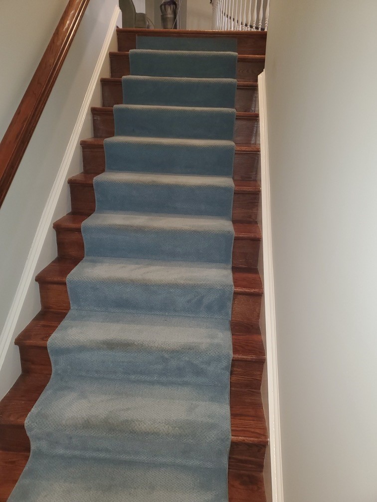 Carpet Stair Runner Color Change in Washington D.C.
