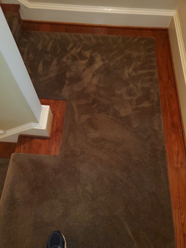 Carpet Stair Runner Color Change in Washington D.C.