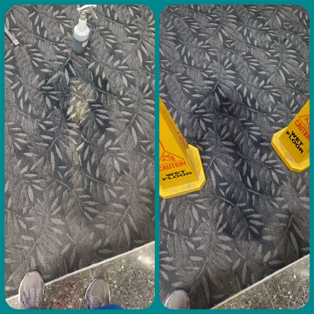 Bleach Spot Repair