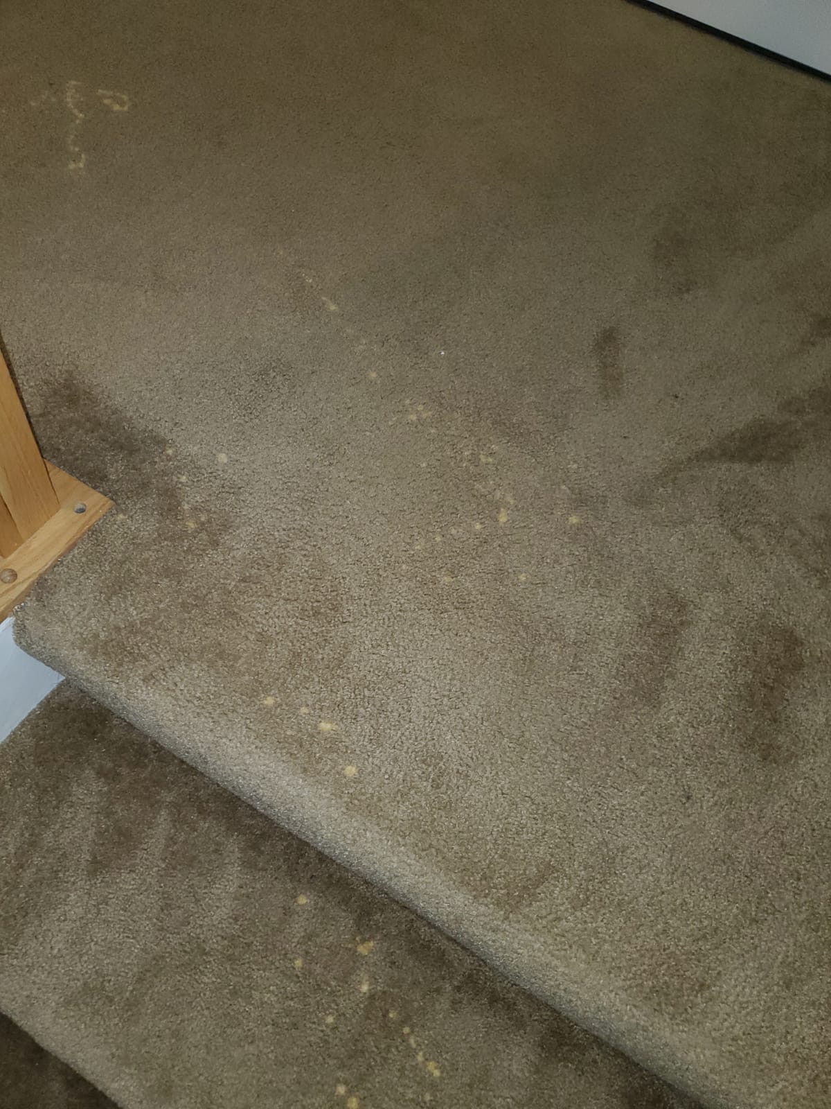 Bleach Spot Repair of Rental Property in Manassas, VA