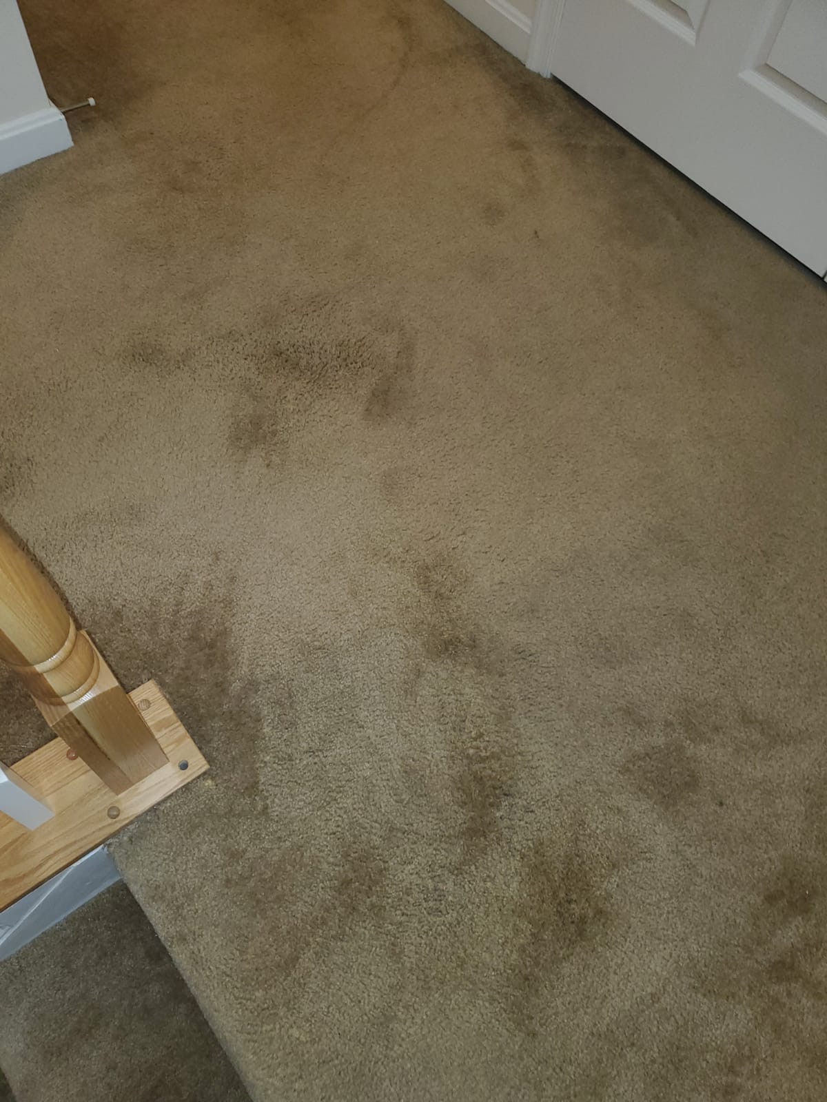Bleach Spot Repair of Rental Property in Manassas, VA