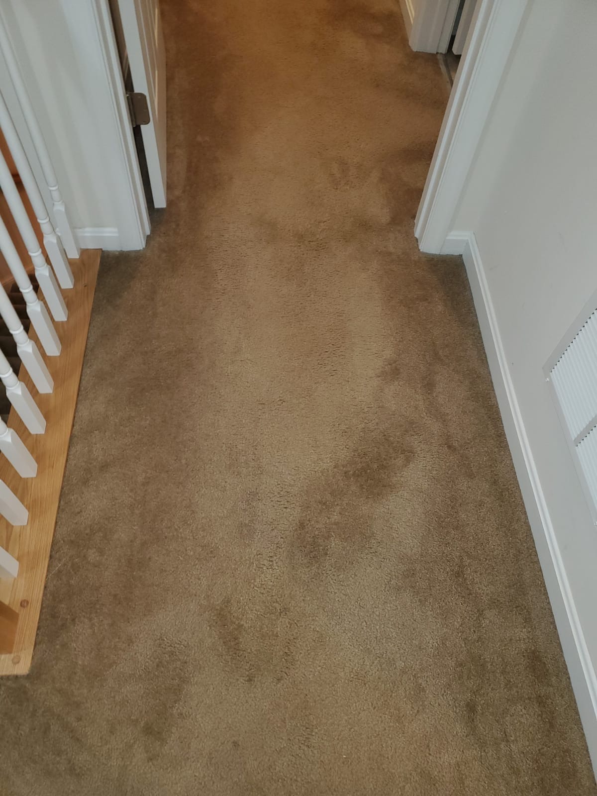 Bleach Spot Repair of Rental Property in Manassas, VA