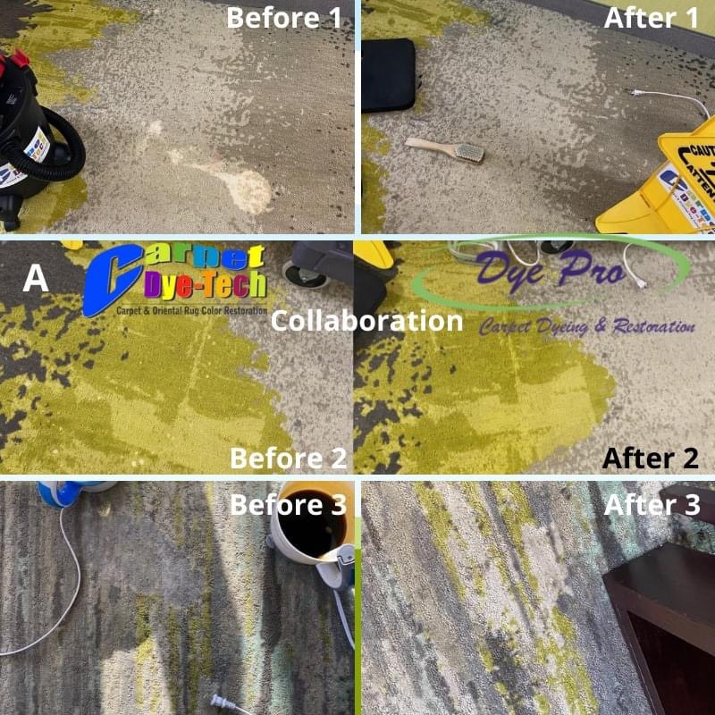 Carpet Dyeing Collaboration