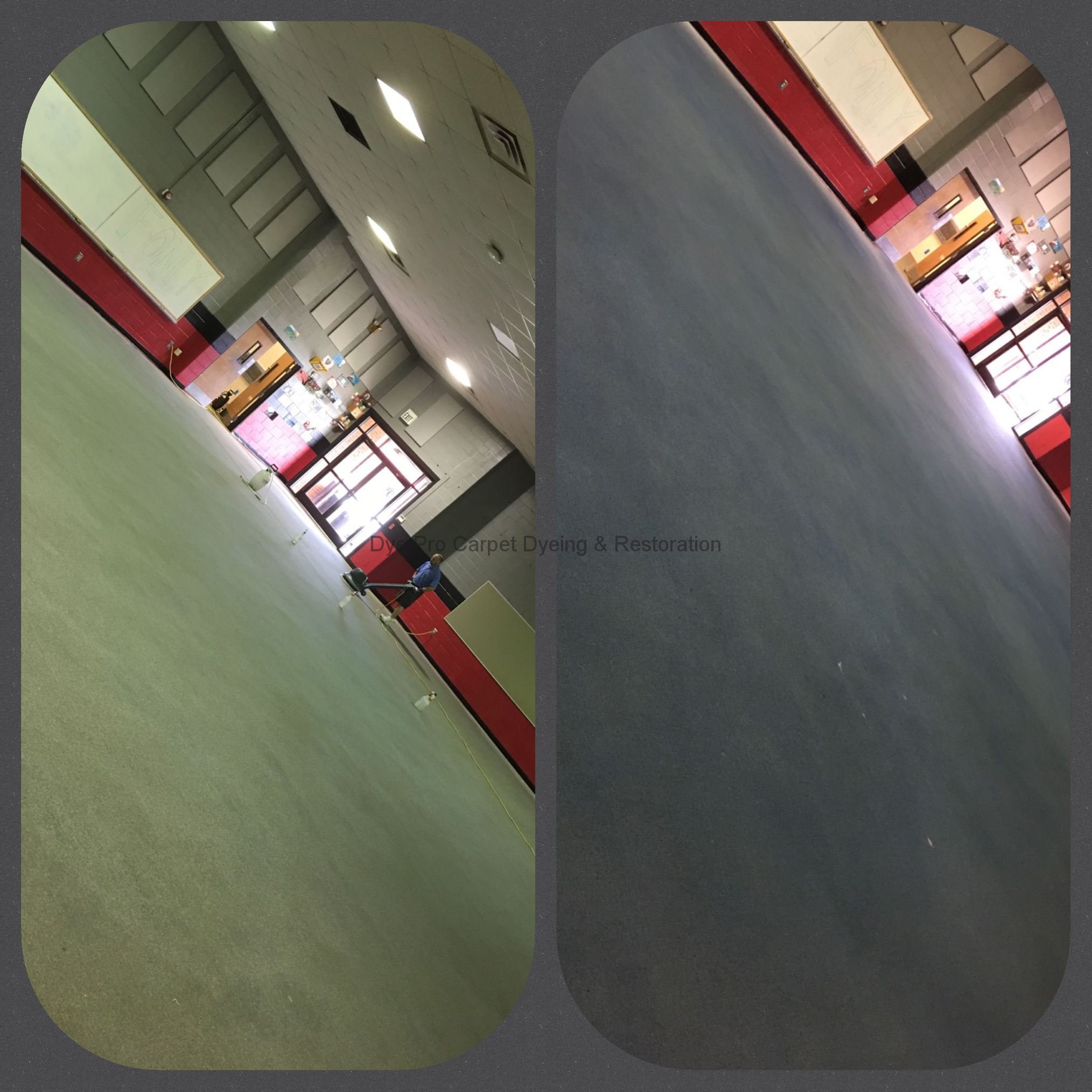 Whole Room Carpet Dyeing