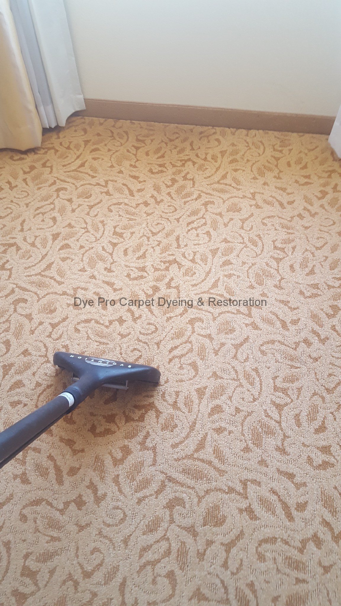 Dye Pro Carpet & Rug Restoration - Annapolis, MD