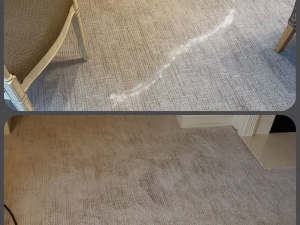 Bleach Spot Repair of Condo Building in Reston, VA