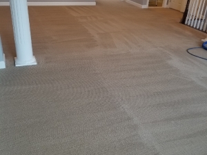 Bleach Spot Repair & Cleaning