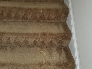 Bleach Spot Repair of Rental Property in Manassas, VA
