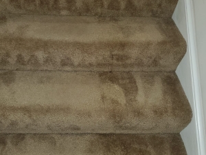 Bleach Spot Repair of Rental Property in Manassas, VA