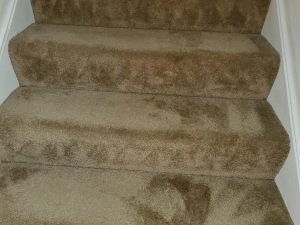 Bleach Spot Repair of Rental Property in Manassas, VA