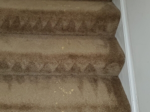 Bleach Spot Repair of Rental Property in Manassas, VA